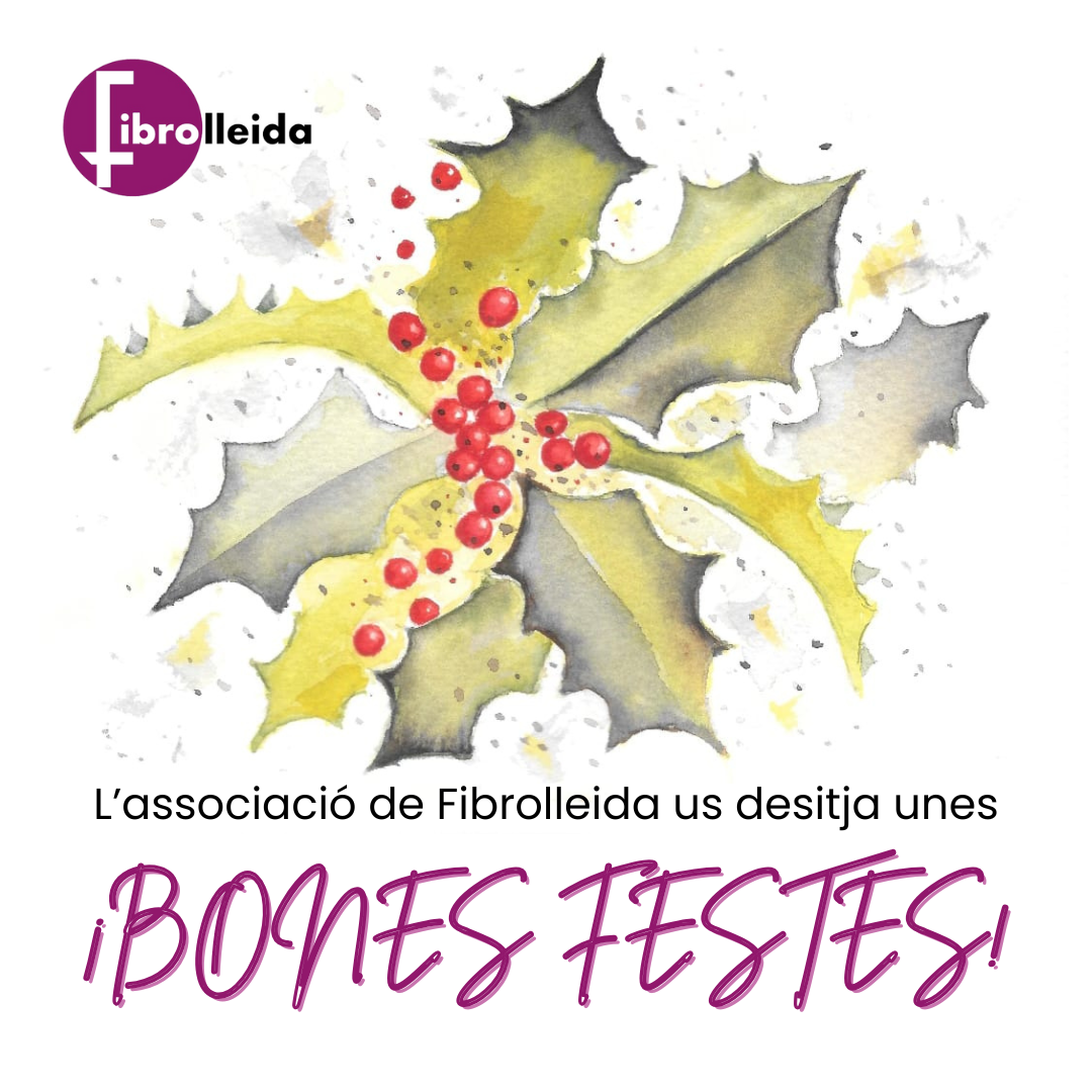 Bones festes i bon any 2026!
